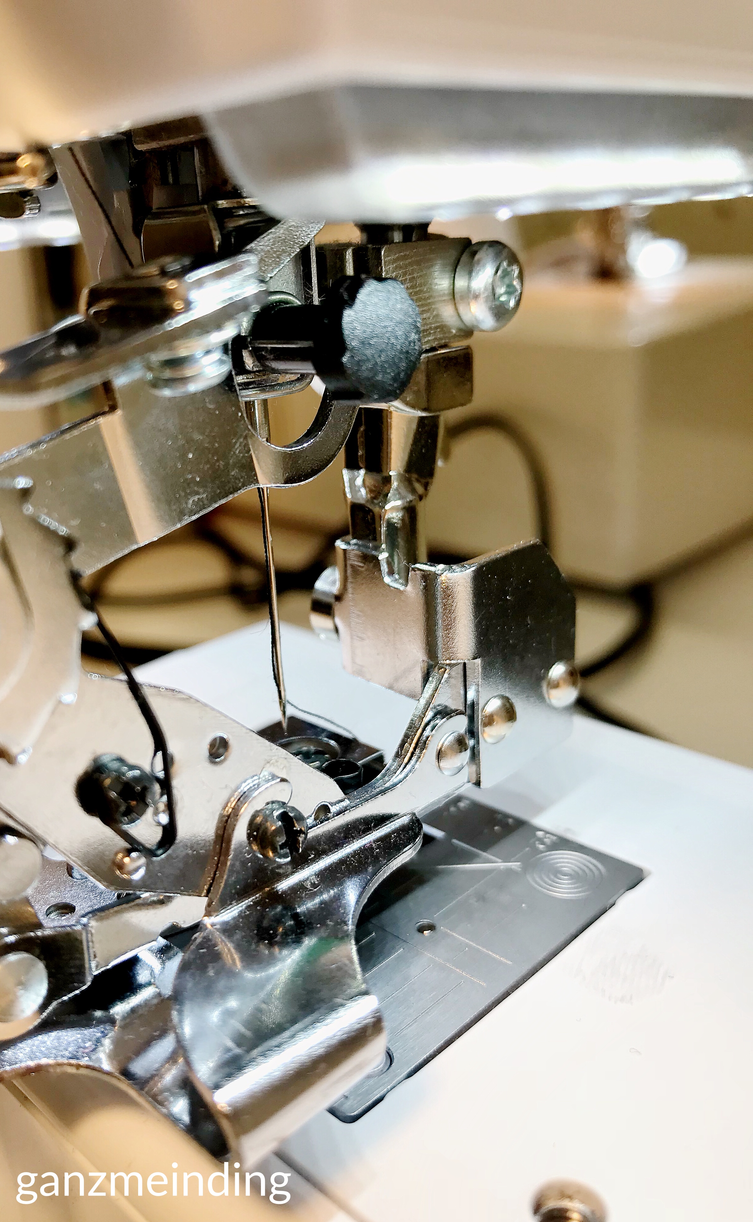 Kleid mit Rüschen, Dana Lübke, Tutorial Ruffler Bernina, ganzmeinding 06