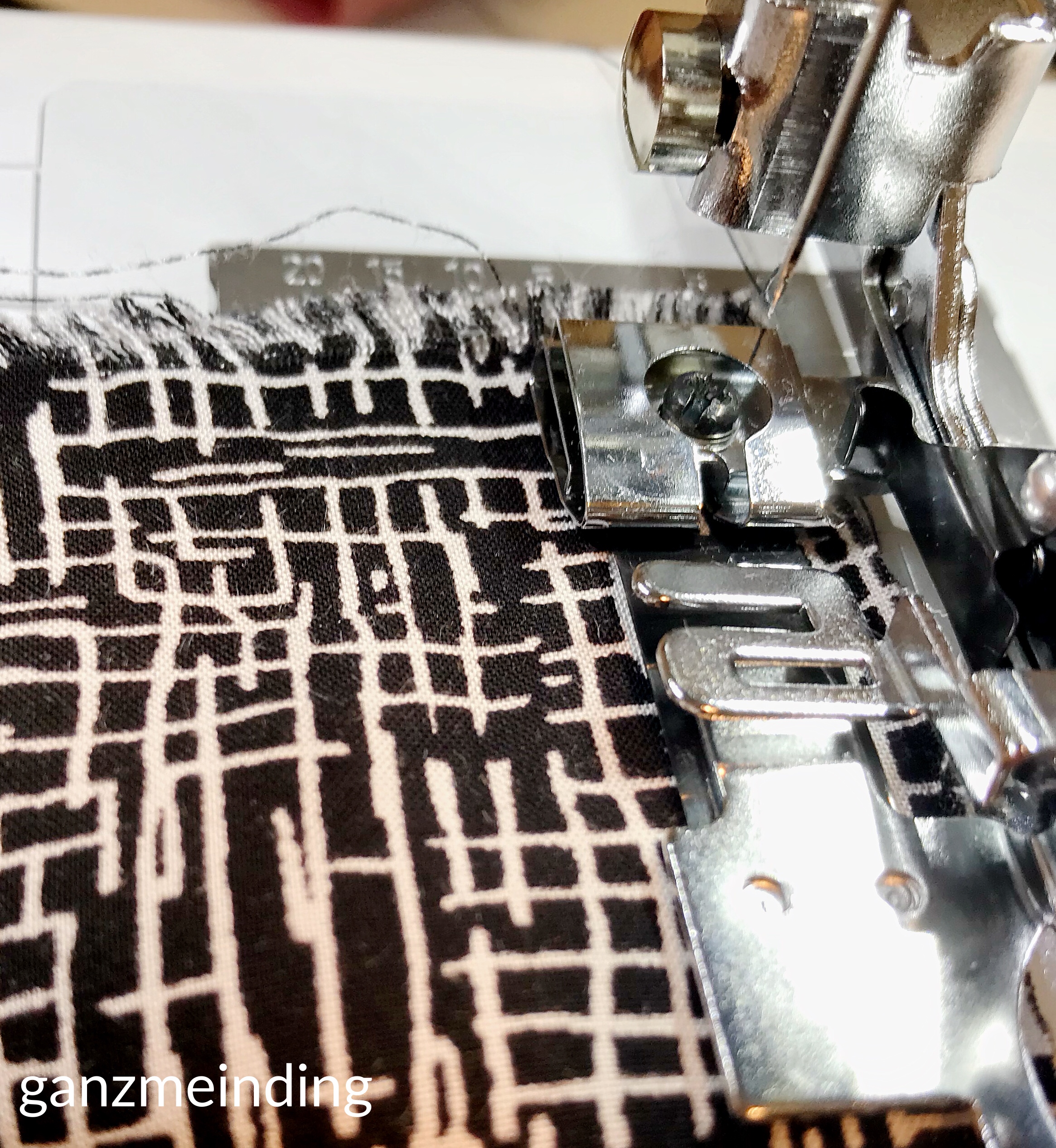 Kleid mit Rüschen, Dana Lübke, Tutorial Ruffler Bernina, ganzmeinding 12